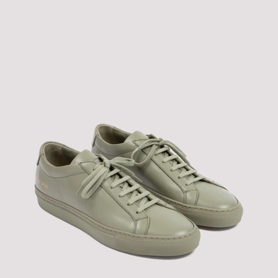 Shop Common Projects Original Achille Low Shoes In Green