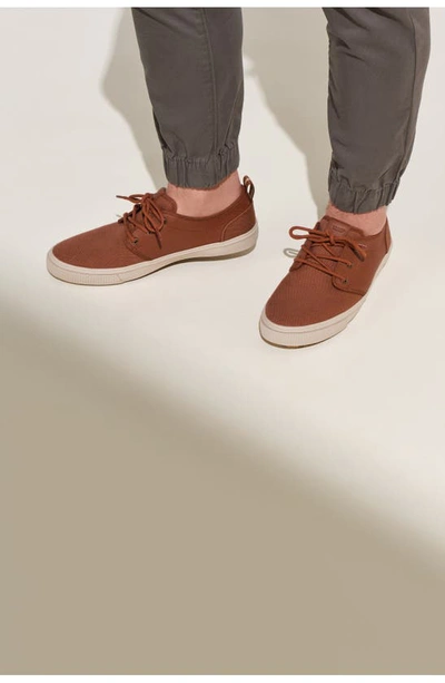 Shop Toms Carlo Terrain Sneaker In Dark Brown