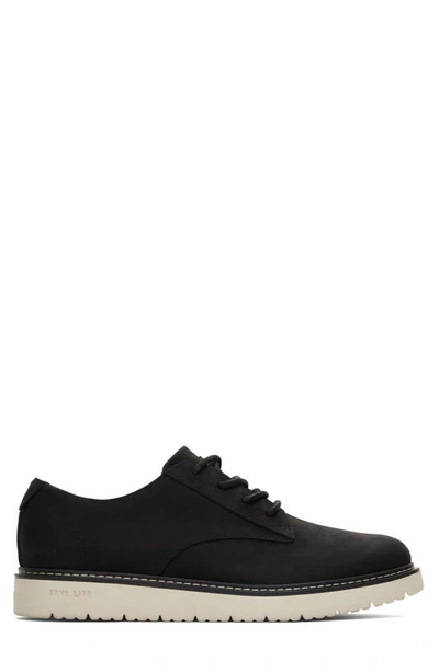 Shop Toms Navi Derby In Black