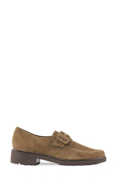 Shop Munro Winslow Monk Strap Loafer In Fawn