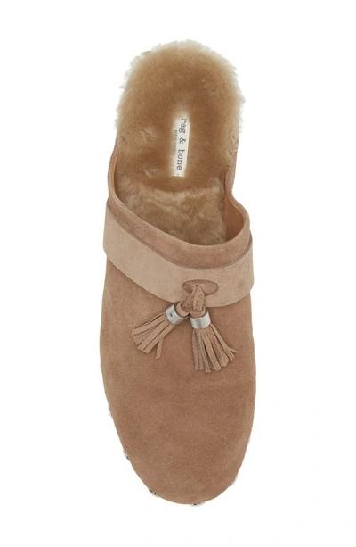 Rag & Bone Johannes Genuine Shearling Clog In Cml/ Natshl