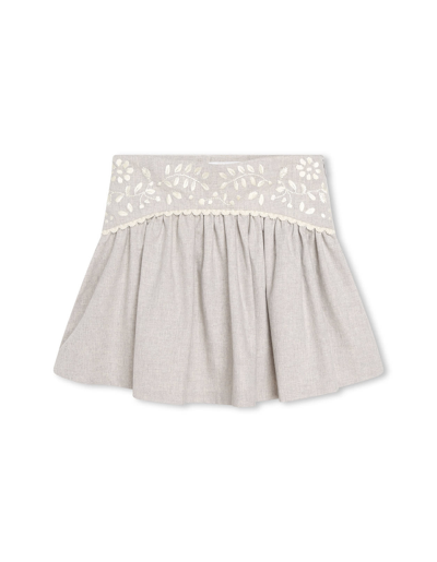 Shop Chloé Grey Skirt With Contrasting Floral Embroidery In Grigio