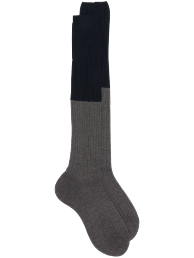 Shop Sofie D'hoore Two-tone Ribbed Cotton Socks In Blue