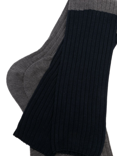 Shop Sofie D'hoore Two-tone Ribbed Cotton Socks In Blue