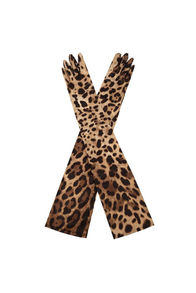 Shop Dolce & Gabbana X Kim Leopard In Multi