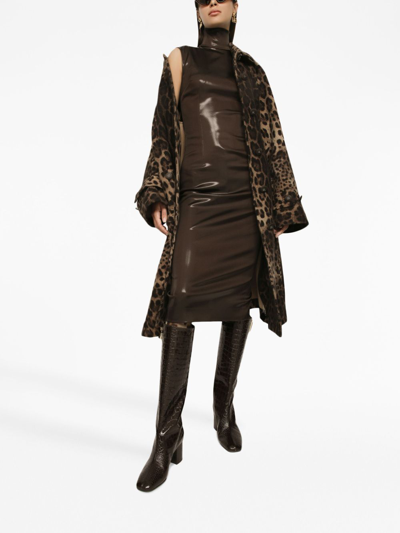 Shop Dolce & Gabbana Synthetic Fibers Dress In Brown