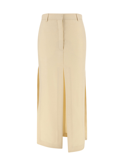Shop Lanvin Silk Skirt In Beige
