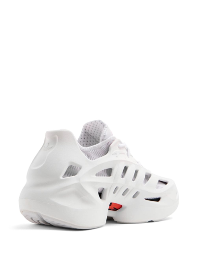 Shop Adidas Originals Adifom Climacool Low-top Sneakers In Weiss