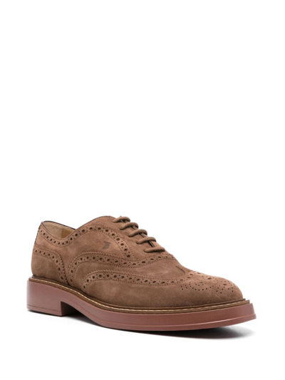 Tod's Lace-up Suede Brogues In Brown