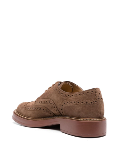 Tod's Lace-up Suede Brogues In Brown