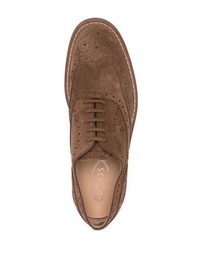 Tod's Lace-up Suede Brogues In Brown