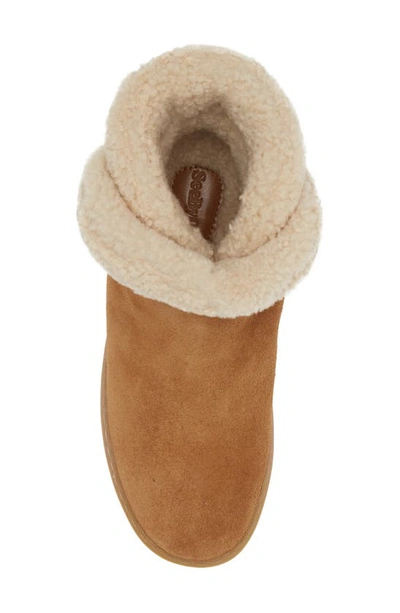 Shop See By Chloé Juliet Genuine Shearling Lined Bootie In Tan