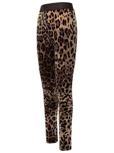 Shop Dolce & Gabbana Woman  Two-tone Charmeuse Leggings In Brown