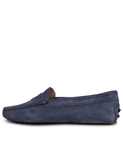 Shop Tod's Light Blue Suede Loafers Woman