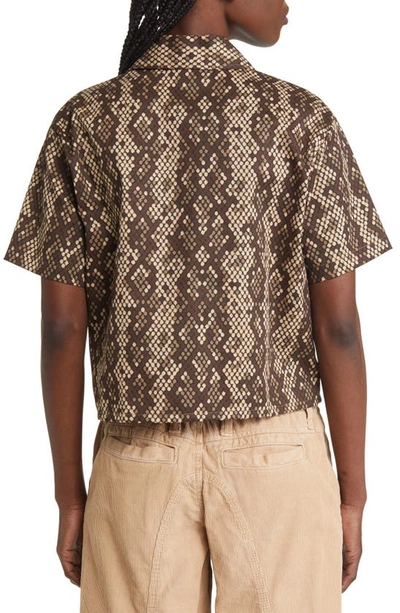 Shop Dickies Camden Snake Print Crop Twill Shirt In Brown