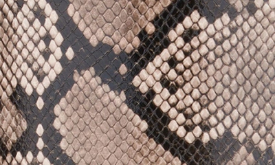 New York And Company Krystelle Knee High Boot In Beige Snake