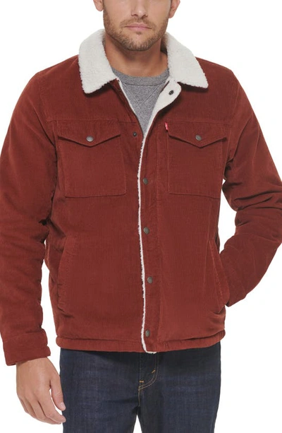 Levi's® Faux Shearling Lined Corduroy Trucker Jacket In Rust