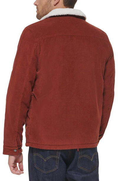 Levi's® Faux Shearling Lined Corduroy Trucker Jacket In Rust