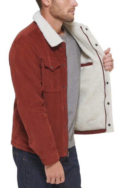 Levi's® Faux Shearling Lined Corduroy Trucker Jacket In Rust