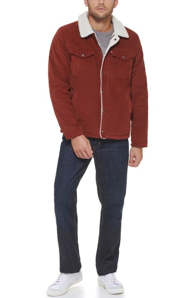 Levi's® Faux Shearling Lined Corduroy Trucker Jacket In Rust