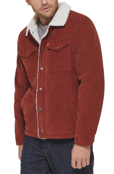 Levi's® Faux Shearling Lined Corduroy Trucker Jacket In Rust