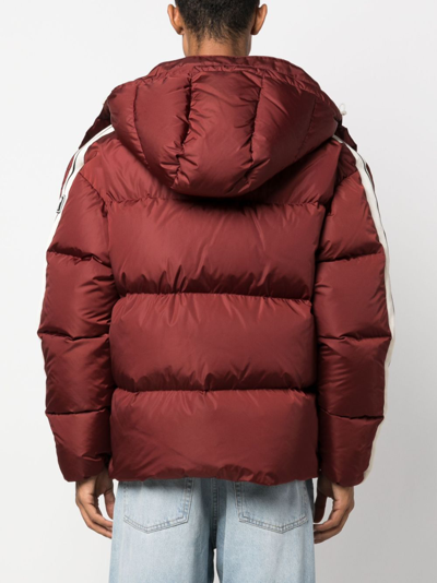 Shop Palm Angels Logo-print Padded Jacket In Red