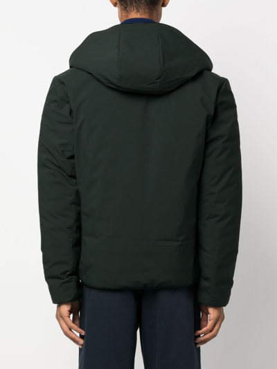 Save The Duck Ezra Hooded Puffer Jacket In Green