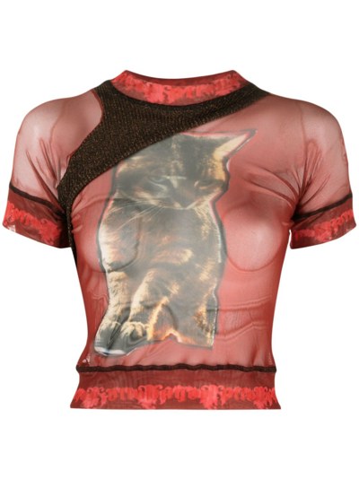 Shop Ottolinger Panelled Animal-print Sheer T-shirt In Red