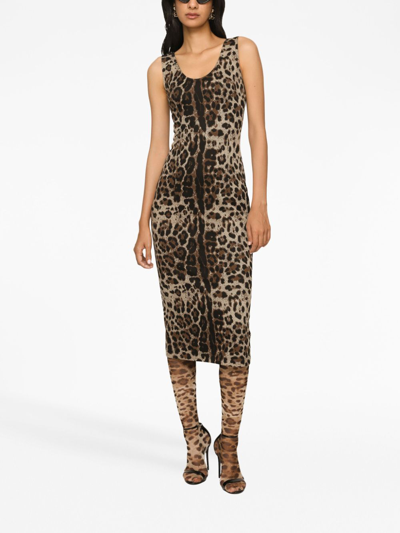 Dolce & Gabbana Short Leopard-print Charmeuse Dress In Braun
