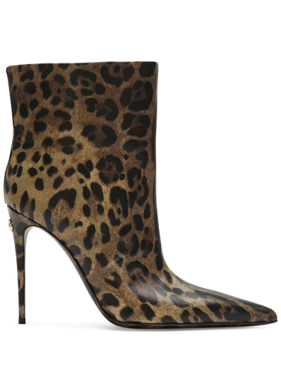 Shop Dolce & Gabbana 105mm Leopard-print Leather Boots In Braun
