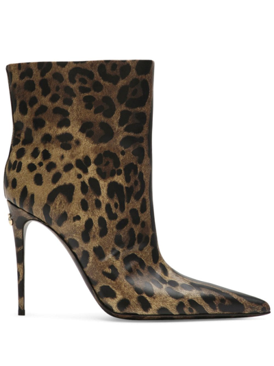 Dolce & Gabbana Women's 105mm Leopard Leather Booties In Braun
