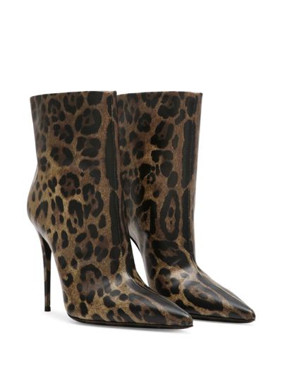 Shop Dolce & Gabbana 105mm Leopard-print Leather Boots In Braun