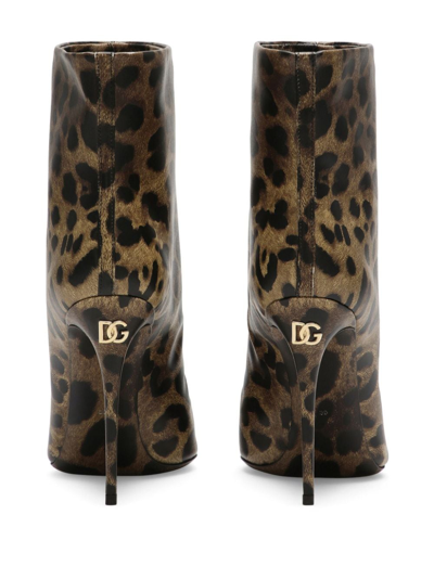 Shop Dolce & Gabbana 105mm Leopard-print Leather Boots In Braun