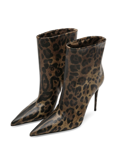 Shop Dolce & Gabbana 105mm Leopard-print Leather Boots In Braun