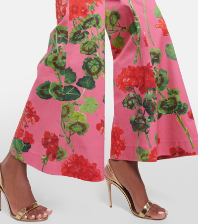 Shop Oscar De La Renta Floral High-rise Cotton-blend Flared Pants In Red