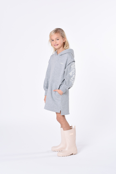 Shop Chloé Embroidered Cotton Hoodie Dress In Grey