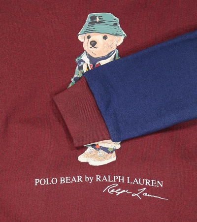 Shop Polo Ralph Lauren Polo Bear Colorblocked Cotton-blend Hoodie In Multicoloured