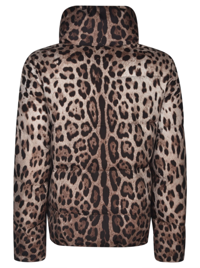 Shop Dolce & Gabbana Animalier Down Jacket In Leopard