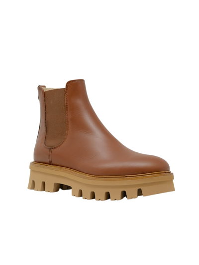 Agl Attilio Giusti Leombruni Agl Brown Leather Natalia Chelsea Ankle Boots In Brown