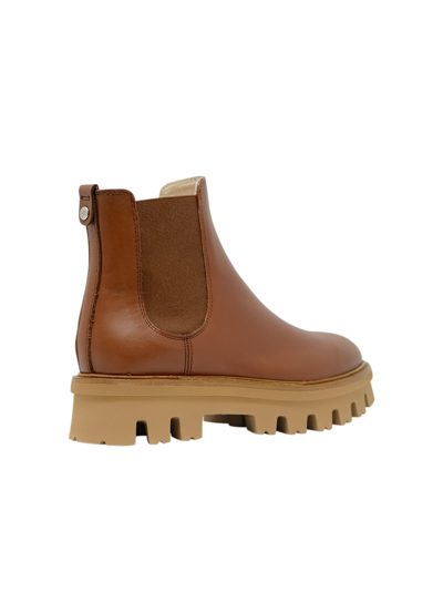 Agl Attilio Giusti Leombruni Agl Brown Leather Natalia Chelsea Ankle Boots In Brown