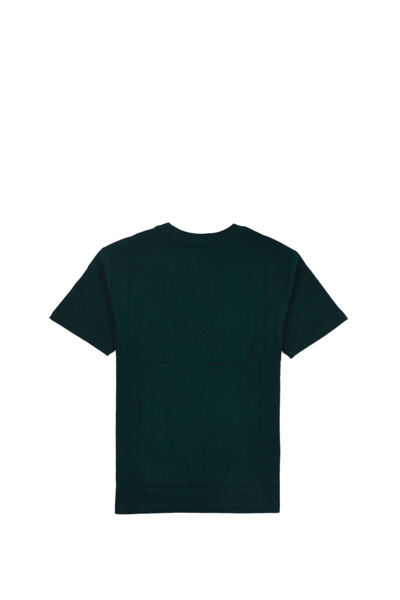 Shop Ralph Lauren Cotton T-shirt In Green