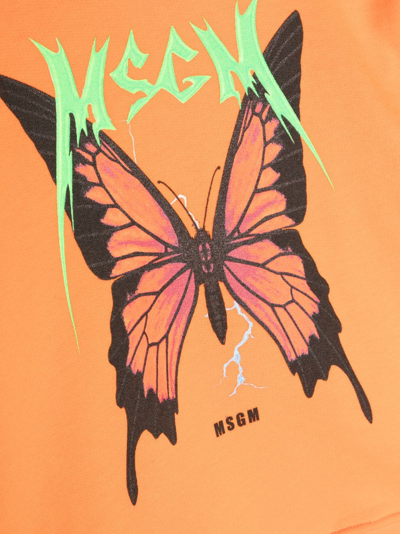 Shop Msgm Logo-print Cotton Hoodie In Orange