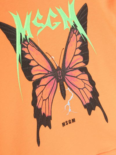 Msgm Logo-print Cotton Hoodie In Orange