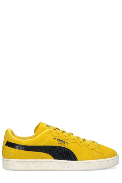 Shop Puma X Staple Logo Patch Lace In Yellow