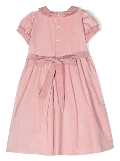 Mariella Ferrari Ruffled-detail Velvet Cotton Dress In Pink