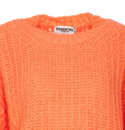 Shop Essentiel Antwerp Sweaters In Orange
