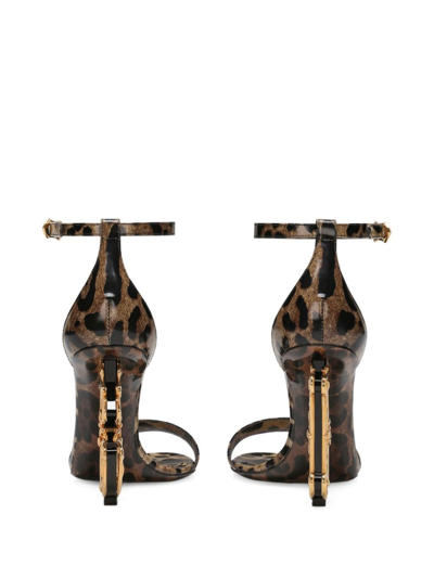 Shop Dolce & Gabbana 105mm Sculpted-heel Sandals In Brown