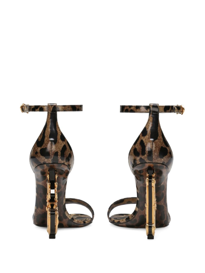 Dolce & Gabbana Keira 105 Leopard Print Leather Dg Baroque Sandals In Brown