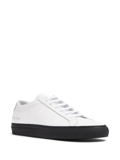 Shop Common Projects Lace-up Contrasting Sole Sneakers In White