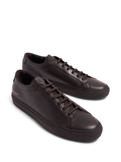 Shop Common Projects Stamped-detail Leather Sneakers In Brown